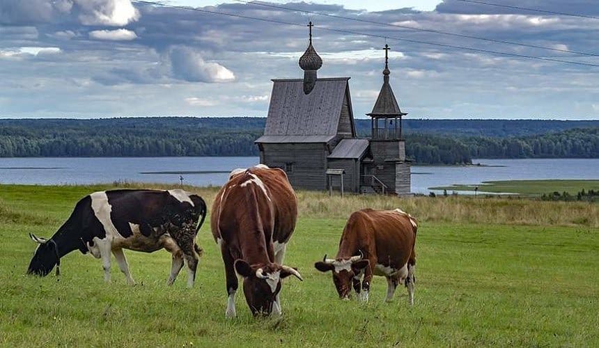 Правительство поддержит сельский туризм в России грантами-Новости туризма в России и мире